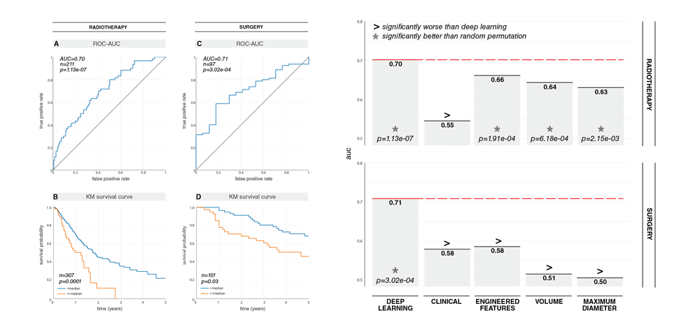 deep-learning-lung-cancer-prognostication-retrospective-multi-cohort-radiomics-study-3